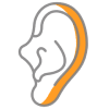 ear (1).png